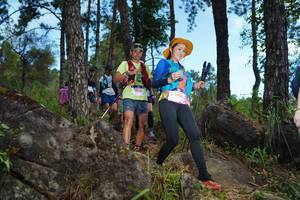 BIB: 441, 
                            <button type="button" onclick="openModal(18963880)" class="btn btn-primary btn-sm float-right btn-popup" data-toggle="modal" data-target=".modal-high-quality">
                        <i class="fas fa-shopping-cart"></i> Add to Cart
                    </button>
                                            <button type="button" onclick="isThisMe(18963880, true)" class="btn btn-success btn-sm float-right btn-popup btn-isme hidden" data-toggle="tooltip" data-placement="bottom" title="นี่คือรูปของคุณใช่ไหม คลิกที่นี่เพื่อเอาเข้าอัลบั้ม">
                        <i class="fas fa-plus"></i> Add to album
                    </button>
                    <button type="button" onclick="isThisMe(18963880, false)" class="btn btn-warning btn-sm float-right btn-popup btn-isnotme hidden">
                        <i class="fas fa-ban"></i> Remove from album
                    </button>